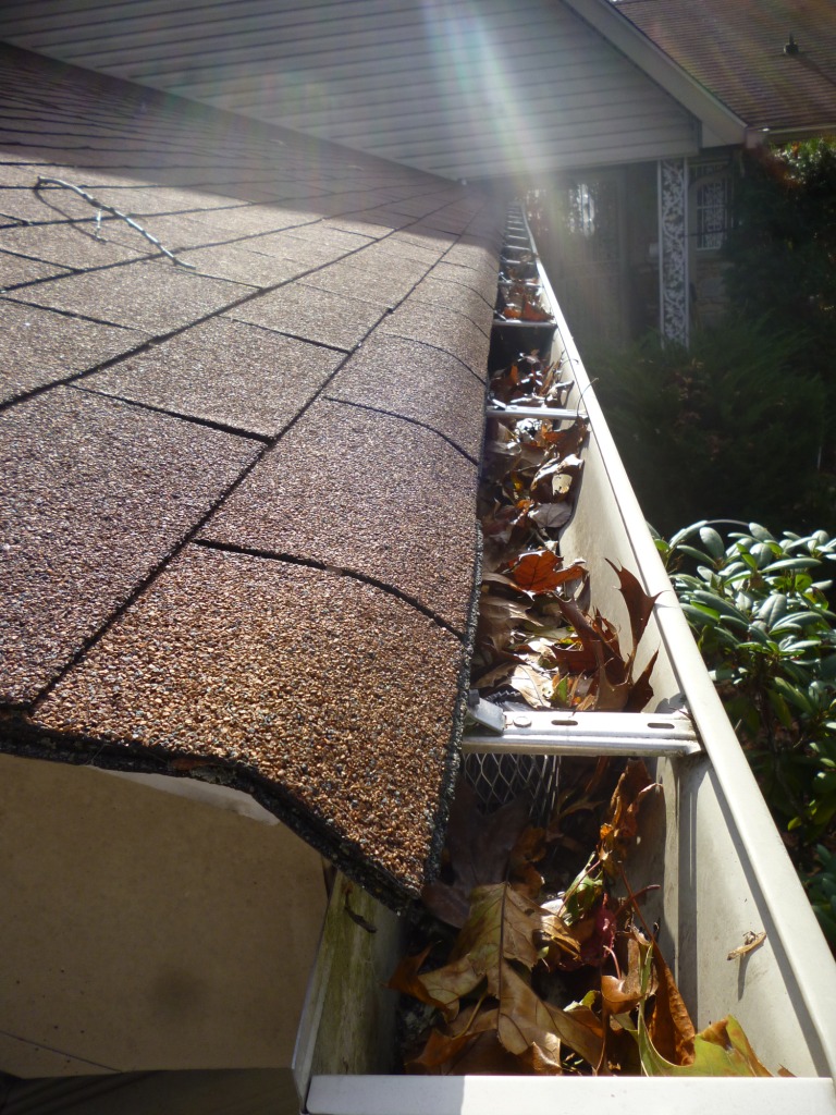 Gutter Cleaning Before